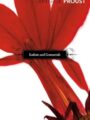 In Search of Lost Time Vol IV Sodom Gomorrah Paperback