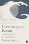 Cosmological Koans