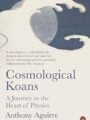 Cosmological Koans