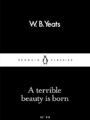 Terrible Beauty Is Born