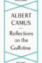 Reflections on the Guillotine