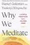 Why We Meditate