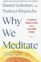 Why We Meditate