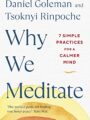 Why We Meditate