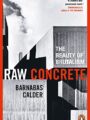 Raw Concrete