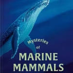 Mysteries of Marine Mammals