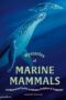 Mysteries of Marine Mammals