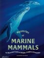 Mysteries of Marine Mammals