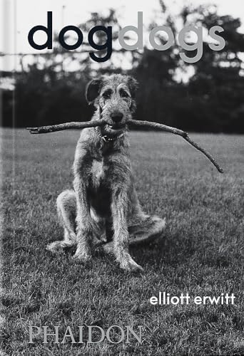 DogDogs