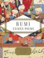 Unseen Poems