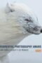 Environmental Photography Award 2023