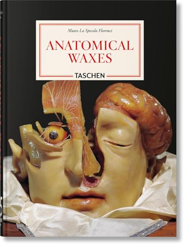 Anatomical Waxes. 45th Ed
