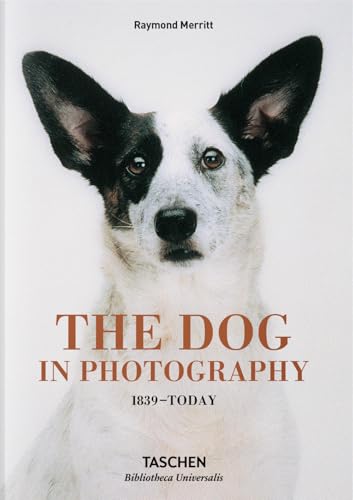 The Dog in Photography 1839-Today