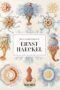 The art and science of Ernst Haeckel