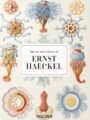 The art and science of Ernst Haeckel