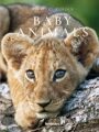 Baby Animals