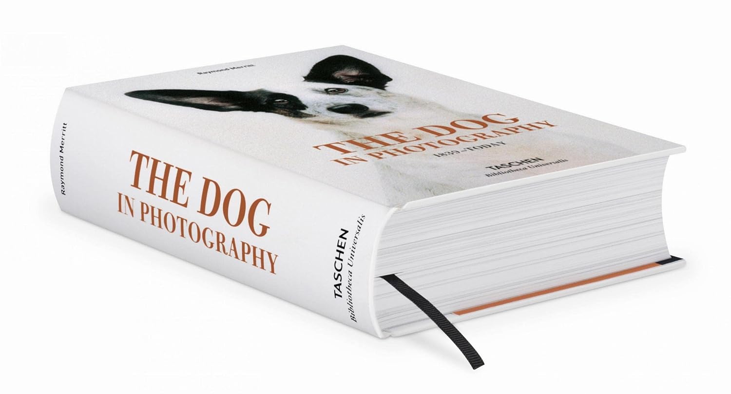 The Dog in Photography 1839-Today