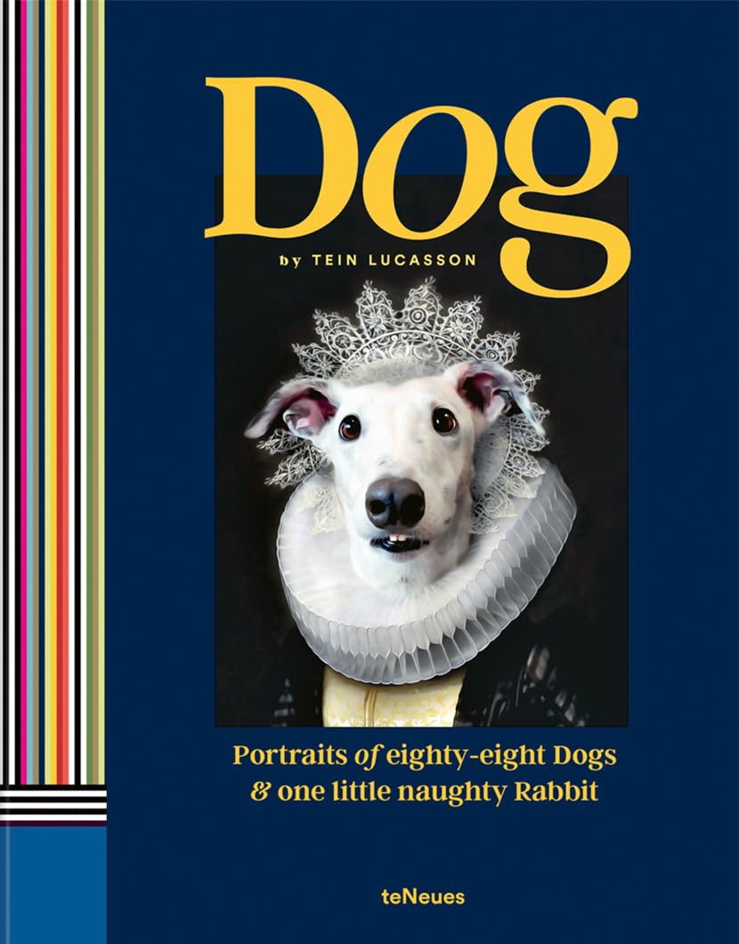 Dog Dog