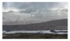Scotch - Image 4