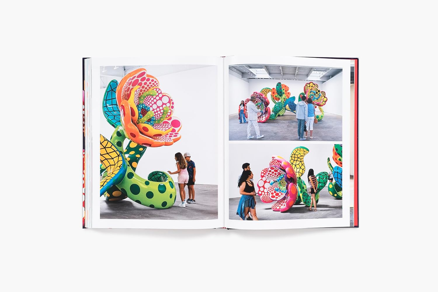 Yayoi Kusama - Image 5