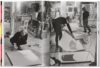 Schapiro, Warhol and Friends - Image 2