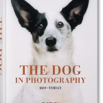 The Dog in Photography 1839-Today