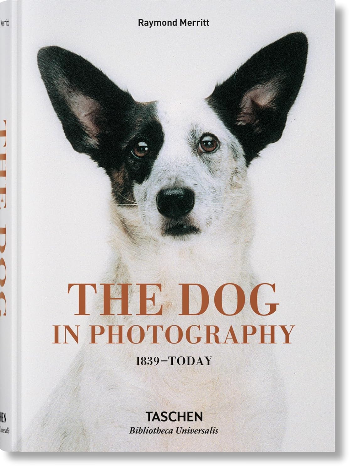 8135QKIfZaL._SL1500_ The Dog in Photography 1839-Today - Image 1