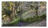 Scotch - Image 8