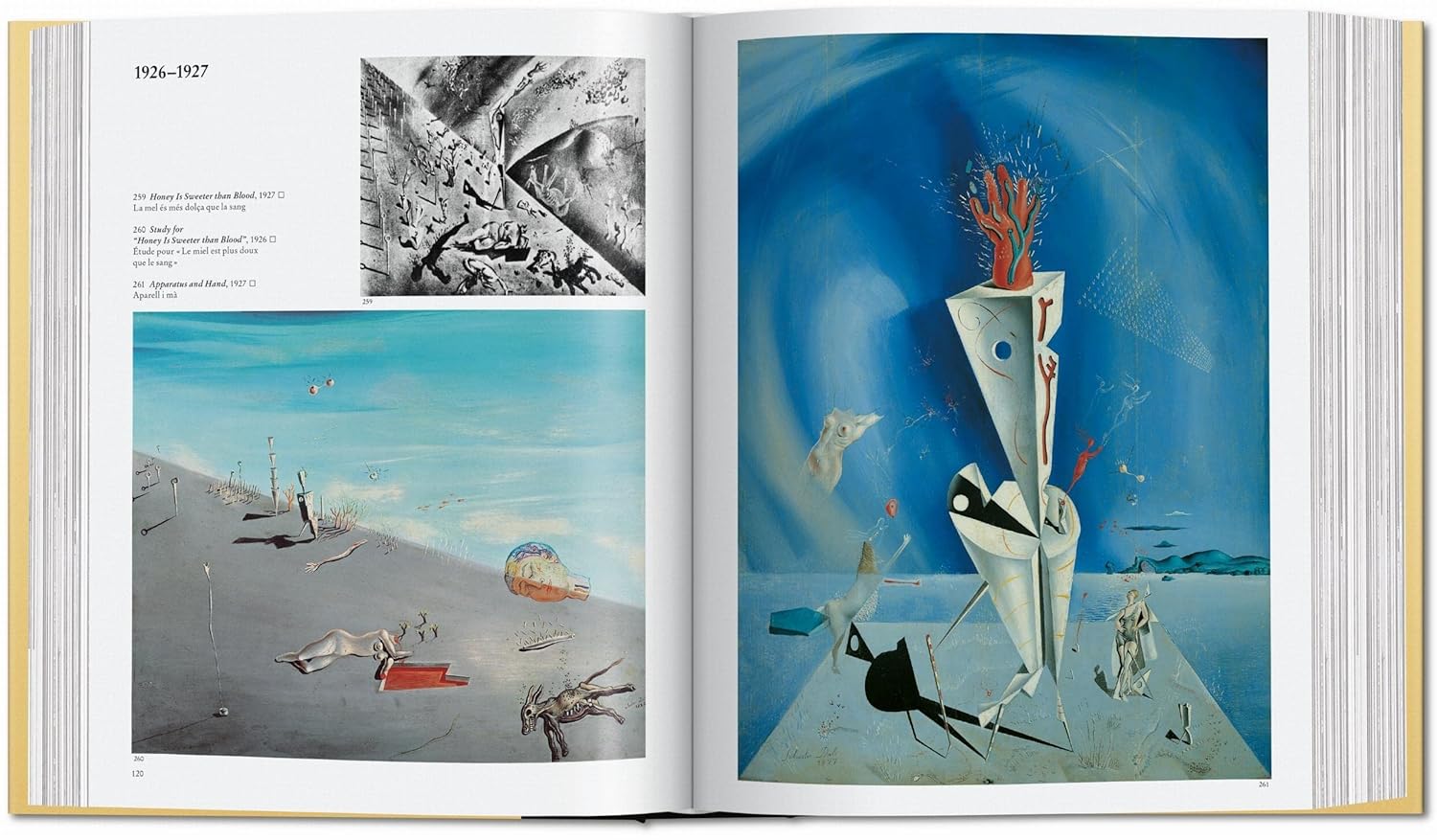 Dalí. the Paintings - Image 2
