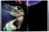Michael Muller: Sharks, Face-to-Face with the Ocean's Endangered Predator - Image 5