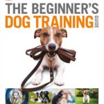 Beginner's Dog Training Guide