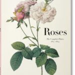 Redouté. Roses