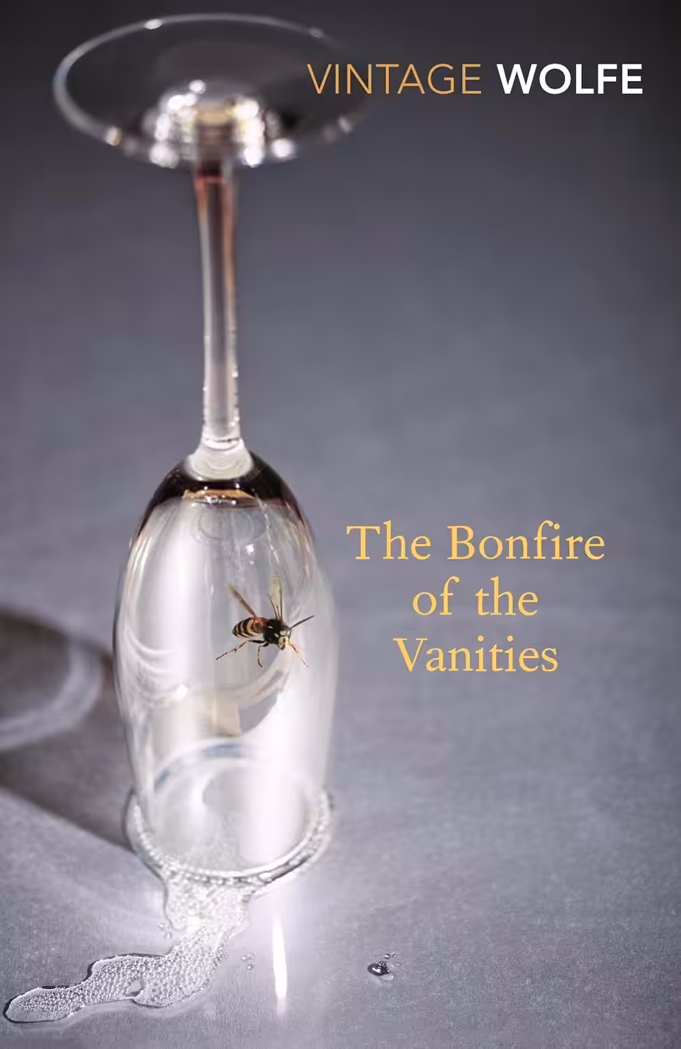 81sDcxdDkOL._SL1500_ The Bonfire of the Vanities - Image 1