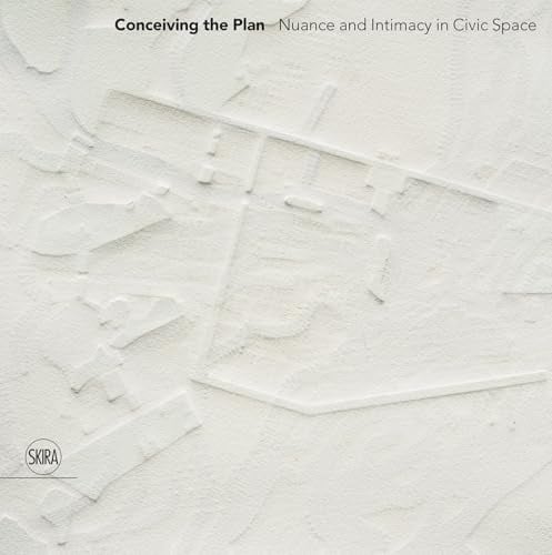 Conceiving the Plan