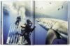 Michael Muller: Sharks, Face-to-Face with the Ocean's Endangered Predator - Image 2