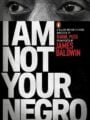 I Am Not Your Negro