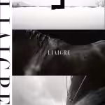 Liaigre: 12 Projects