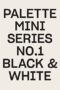 Palette Mini Series 01 : Black and White