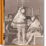 Goya. the Complete Prints