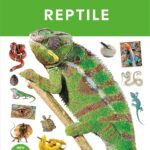 Reptile (DK Eyewitness)