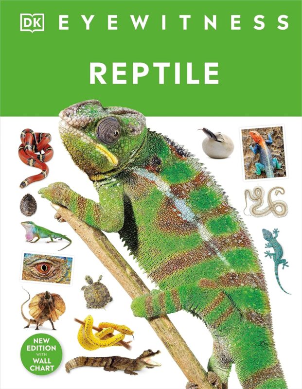 Reptile (DK Eyewitness)