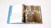 Raphael in detail - Image 2