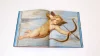 Raphael in detail - Image 3