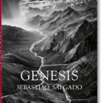 Sebastião Salgado. GENESIS