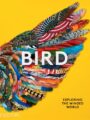 Bird Exploring the Winged World