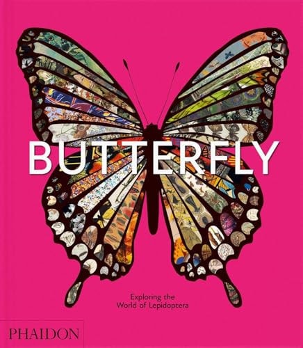 Butterfly Exploring the World of Lepidoptera Butterfly Exploring the World of Lepidoptera