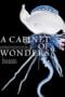 A Cabinet of Wonders A Celebration of Art in Nature at the Palazzo Grimani