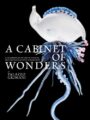 A Cabinet of Wonders A Celebration of Art in Nature at the Palazzo Grimani