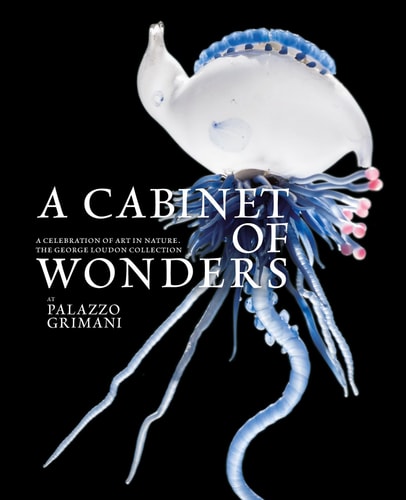 A Cabinet of Wonders A Celebration of Art in Nature at the Palazzo Grimani