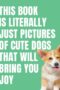 This Book Is Literally Just Pictures of Cute Dogs That Will Bring You Joy